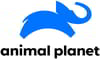 ANIMAL PLANET Channel available on Zing Digital TV (Zing Super FTA Box)
