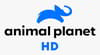 ANIMAL PLANET HD Channel available on Zing Digital TV (Zing Super FTA Box)