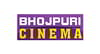 BHOJPURI CINEMA Channel available on Zing Digital TV (Zing Super FTA Box)