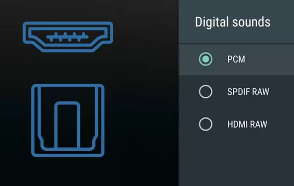 What is PCM and RAW? Which audio format is best for music? PCM or BitstreamWhat is better PCM or Bitstream? Should I use PCM or raw?
